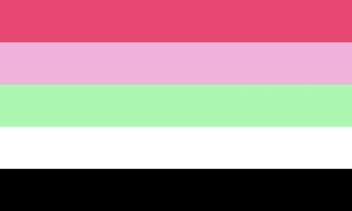 Asexual 9 Recipromantic Flag