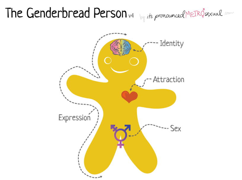 Causes Of Transsexualism: And Why That Is Not The Right Word 4 Transsexualism