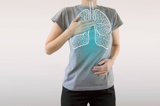 健康人肺的图形可视化突出显示蓝色隔膜 图库照片、 免版税照片和图片